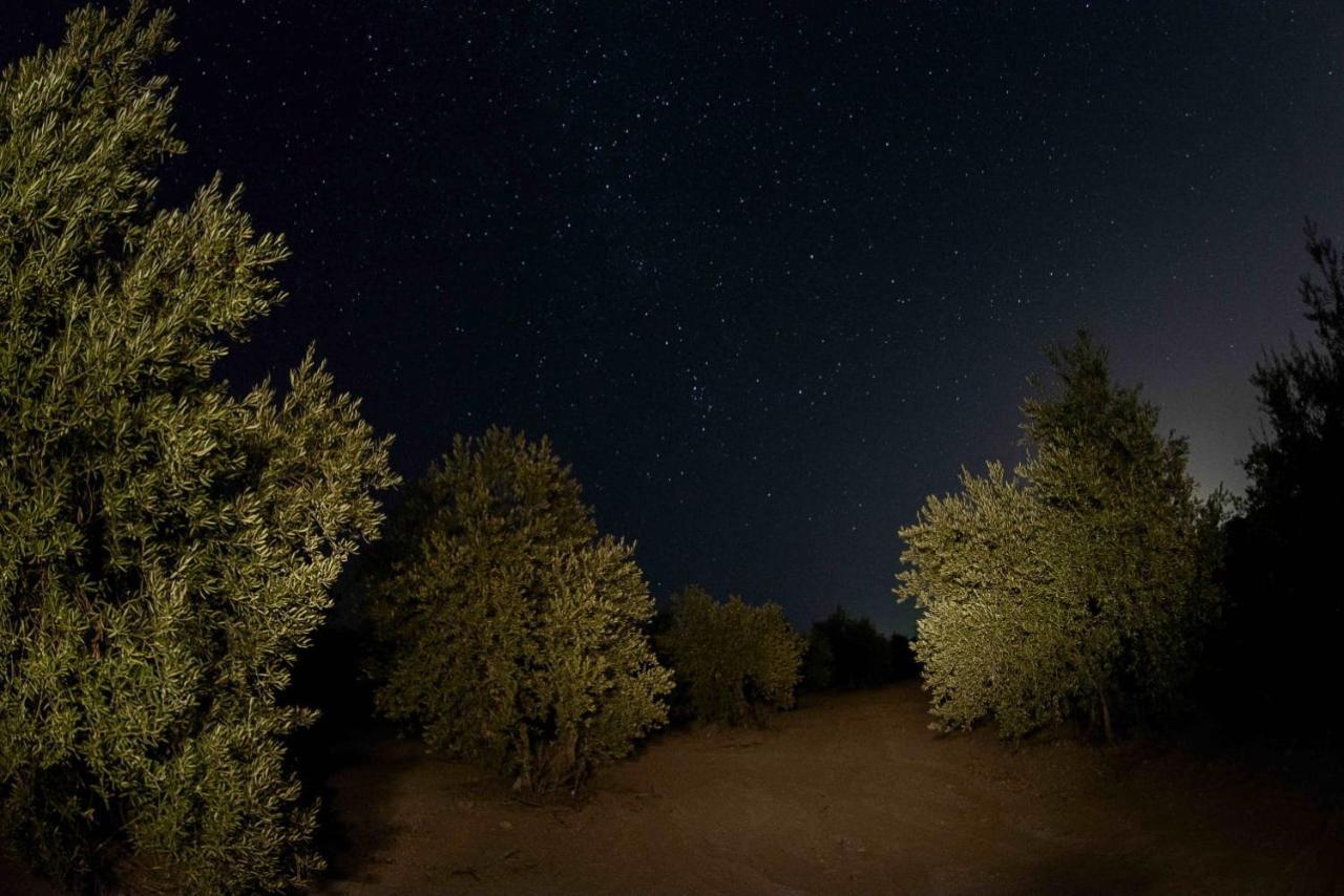 モントロ Molino La Navaゲストハウス エクステリア 写真
