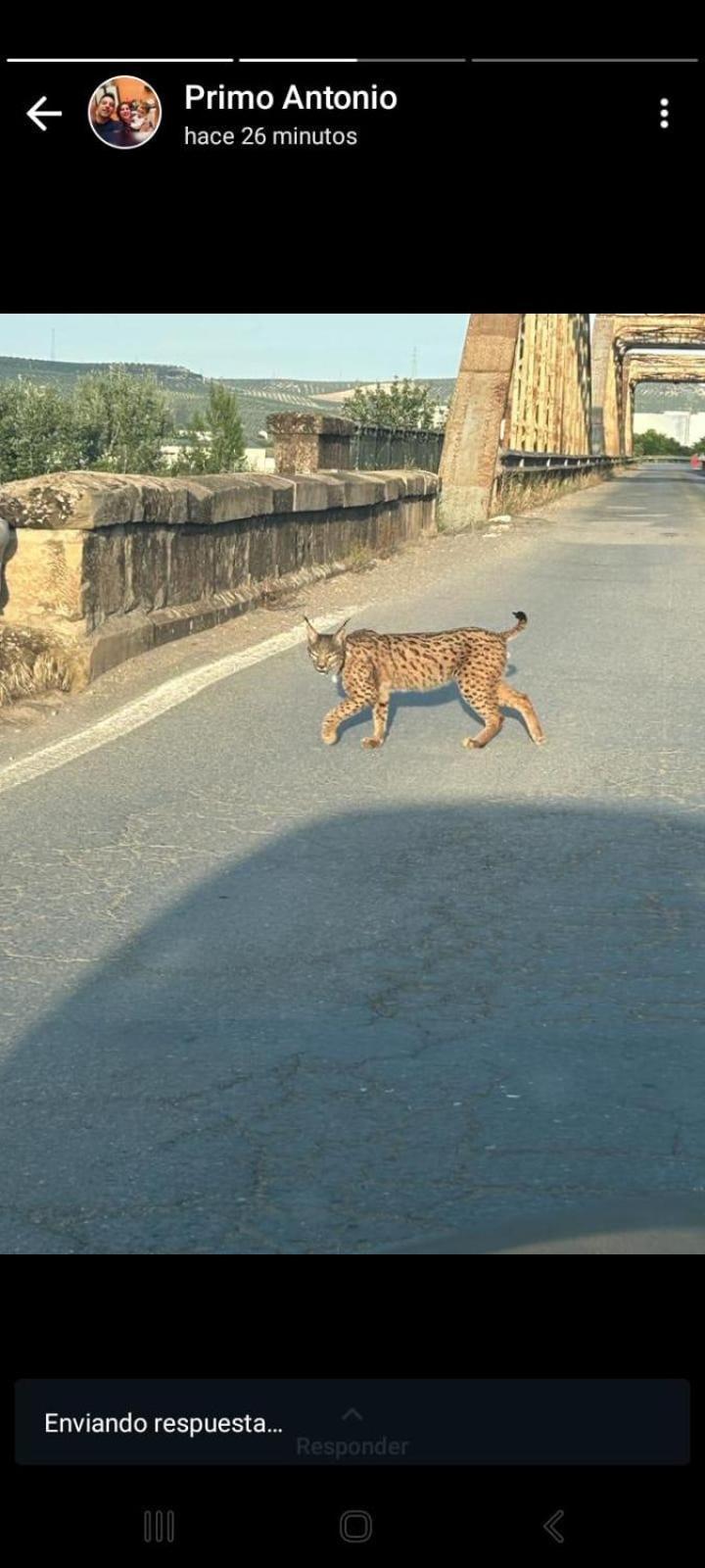 モントロ Molino La Navaゲストハウス エクステリア 写真